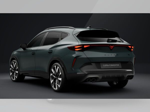 Cupra Formentor VZ 4drive 2.0 TSI | Privat bild 4