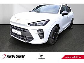 Cupra Terramar 1.5 e-Hybrid HD-Matrix 360° Kamera Navi