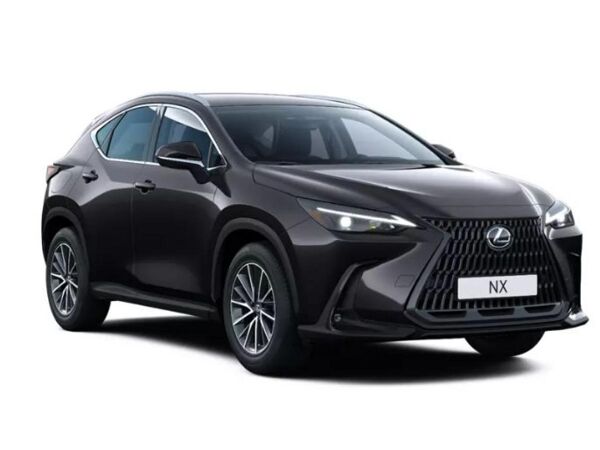 Lexus NX 450h+ Plug-in Business +4x4+Navi+R-Kam+ bild 2