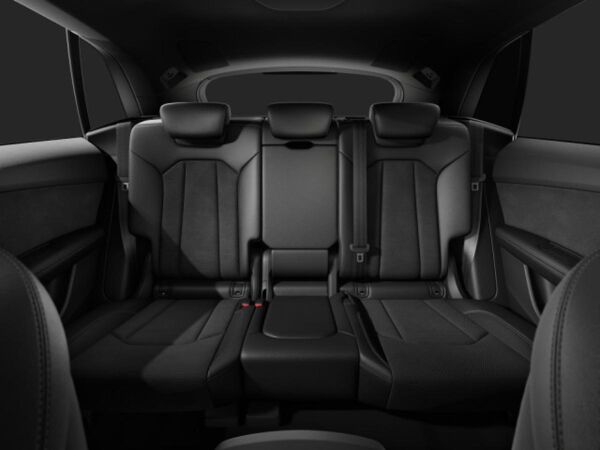 Audi Q8 S line business TFSI e quattro    ⇒ AHK    ⇒ Allradlenkung   ⇒ Panoramadach bild 6