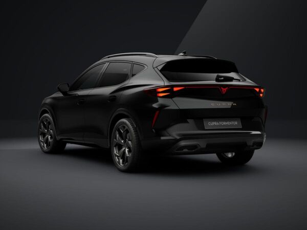 Cupra Formentor 2.0 TDI DSG +AHK+MATRIX+NAVI+SENNH+PD bild 3