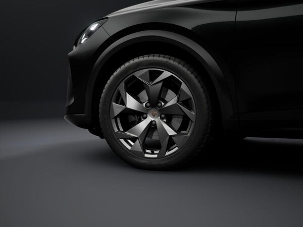 Cupra Formentor 2.0 TDI DSG +AHK+MATRIX+NAVI+SENNH+PD bild 4