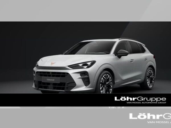 Cupra Terramar VZ 2.0 TSI Business-Paket, Drive-Paket, Skyline-Paket bild