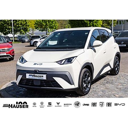 BYD Dolphin Surf leasen