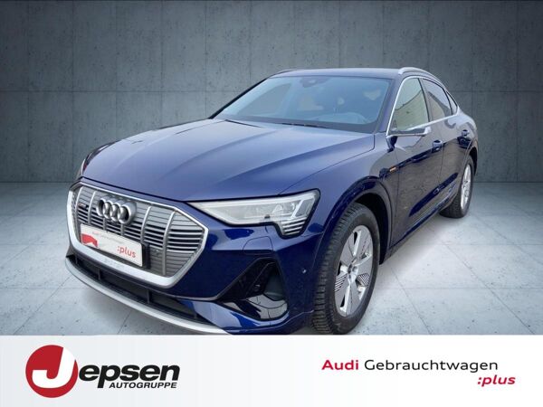 Audi e-tron Sportback S line 55 qu Matrix HUD VirtSpie bild