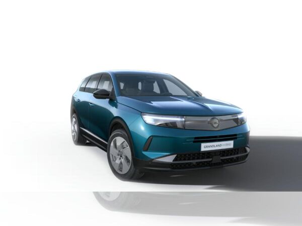 Opel Grandland Electric | Gewerbekracher bild 2