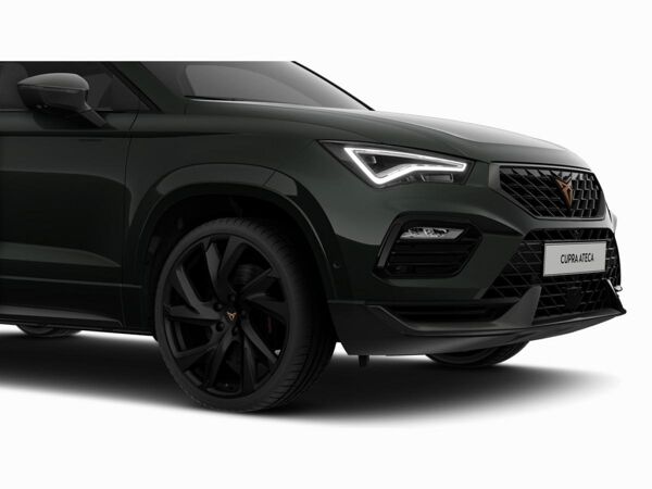 Cupra Ateca VZ 2.0 TSI DSG 4Drive ACC PANO 360° *SN227* bild 6