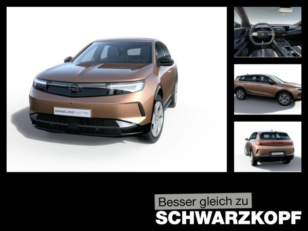 Opel Grandland Electric Edition 73 kWh Batterie bild 1