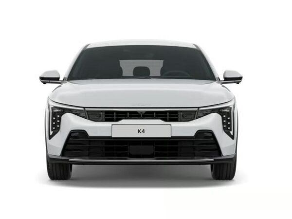 Kia K4 1.0 T-GDI ++PRIVAT+RFK+NAVI+PDC++ bild 3