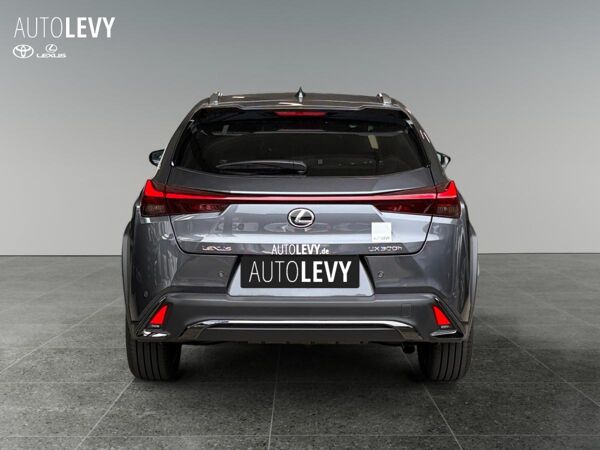 Lexus UX-300h UX 300h F Sport Design *Vorlauf *inkl..Wechselprämie* bild 5