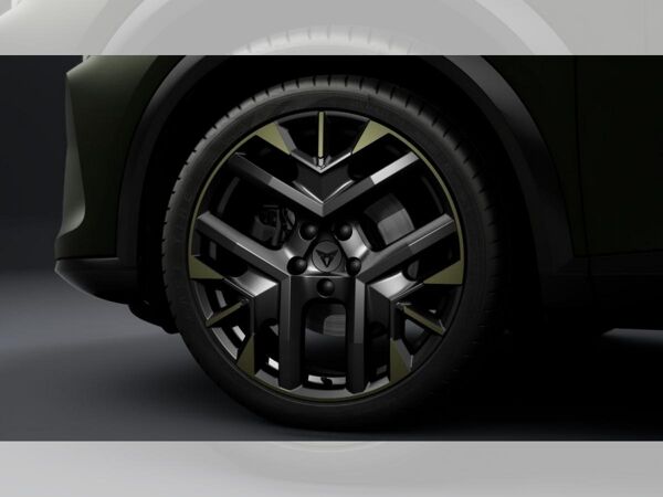 Cupra Formentor VZ 2.0 TSI DSG 4Drive - Tribe Edition - nur in Verbindung mit Wartung und Inspektion bild 4