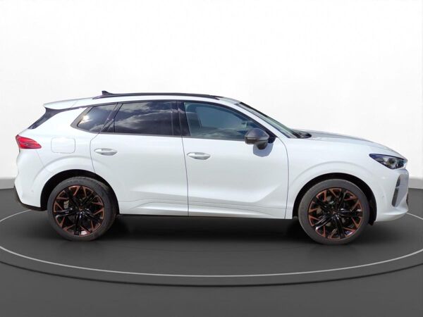 Cupra Terramar 2.0 TSI DSG VZ 4Drive bild 6