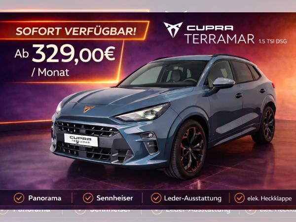 Cupra Terramar 1.5 TSI DSG Panorama|Sennhsr|Leder|19" Sofort! bild