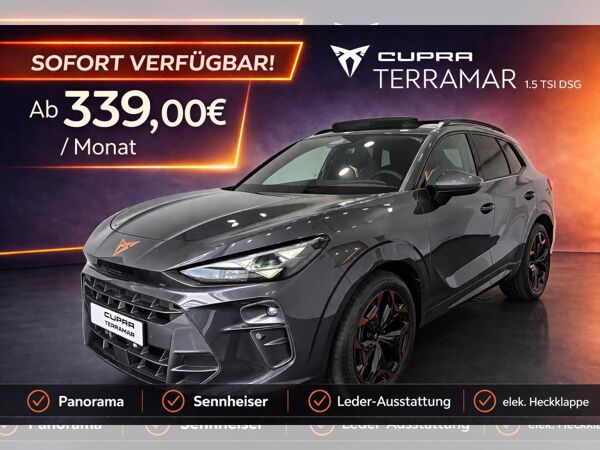 Cupra Terramar 1.5 TSI DSG Panorama|Sennhsr|Leder|19" Sofort! bild 1