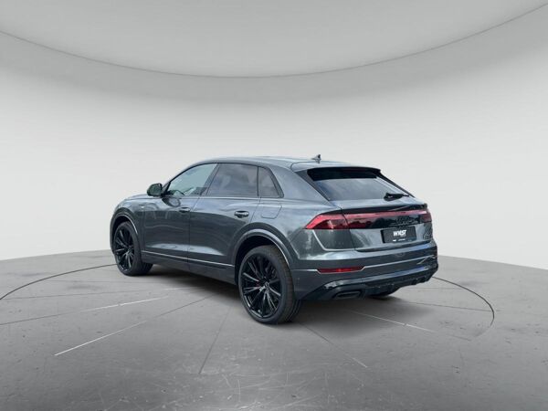 Audi Q8 SUV TFSI e qu. tiptr. S line business AHK HUD MATRIX bild 5
