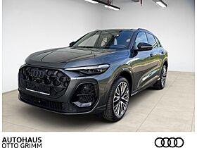 Audi Q5 2.0 TDI quattro S-line *Matrix*Navi*Alu