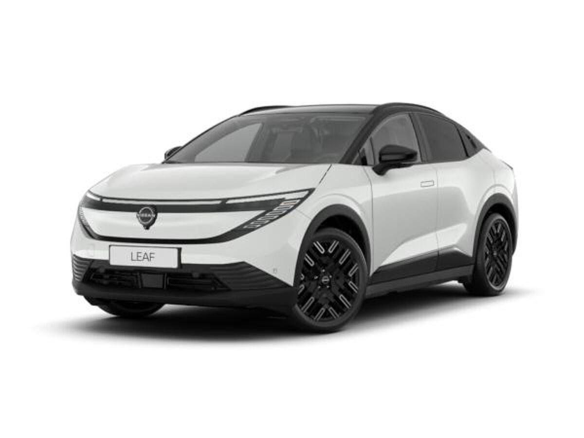 Nissan Leaf Evolve bild