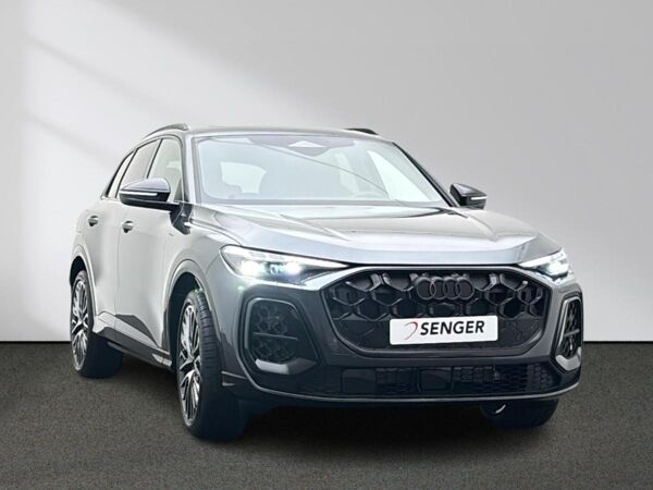Audi Q5 e-hybrid quattro Tech pro Paket Memory Matrix bild 4