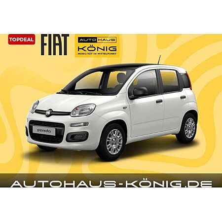 Fiat Panda leasen