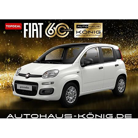 Fiat Panda leasen