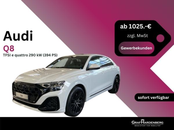 Audi Q8 TFSI e quattro 290 kW bild