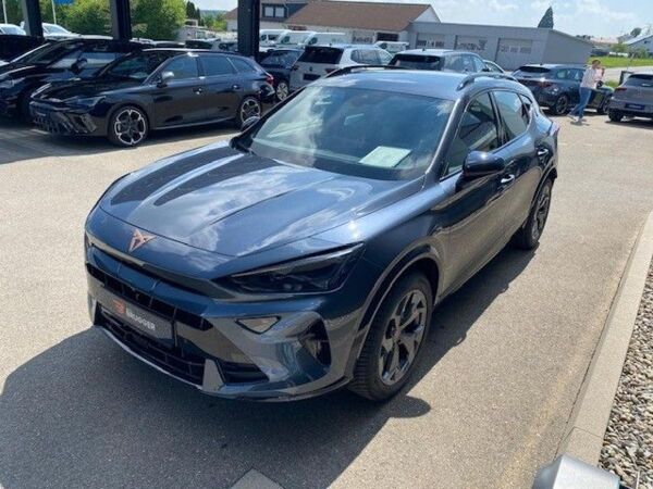 Cupra Formentor 2.0 TDI DSG NAVI Matrix-LED 360°-Kamera ACC SHZ bild 5