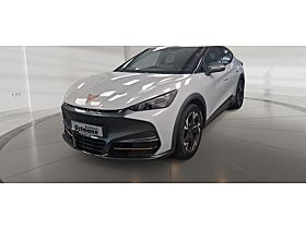 Cupra Tavascan Endurance ACC RFK CarPlay SHZ