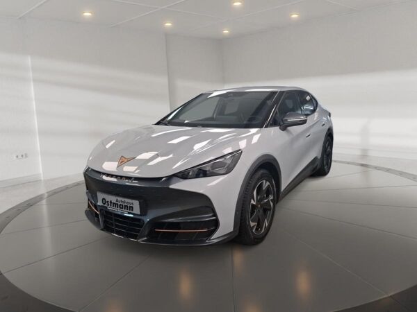 Cupra Tavascan Endurance ACC RFK CarPlay SHZ bild 1