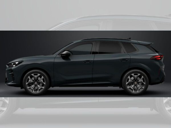 Cupra Terramar VZ 2.0 TSI DSG - BESTELLAKTION!! bild 2
