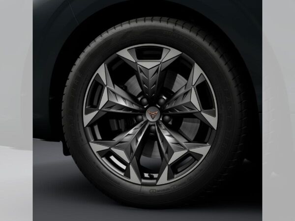 Cupra Terramar VZ 2.0 TSI DSG - BESTELLAKTION!! bild 4