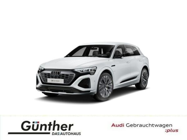 Audi Q8 e-tron 55 QUATTRO S LINE+AHK+360 KAMERA+LUFTF bild