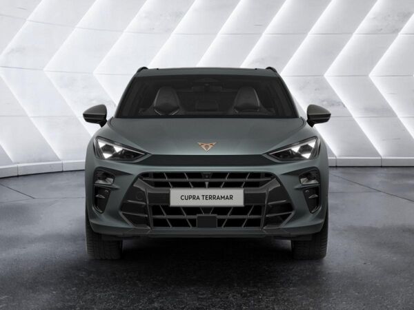 Cupra Terramar bild 4