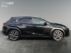 Lexus UX-300h UX 300h F Sport Design Navi/SHZ/MJ26 bild 7