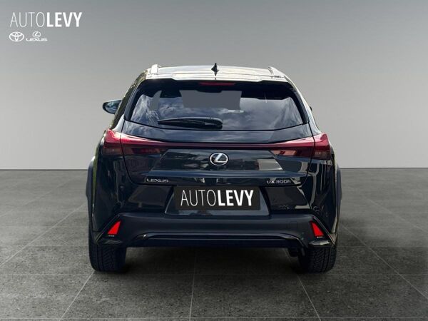 Lexus UX-300h UX 300h F Sport Design Navi/SHZ/MJ26 bild 5