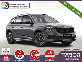 Skoda Kamiq DSG MonteC Pano Matrix Kam Kessy SHZ eHK