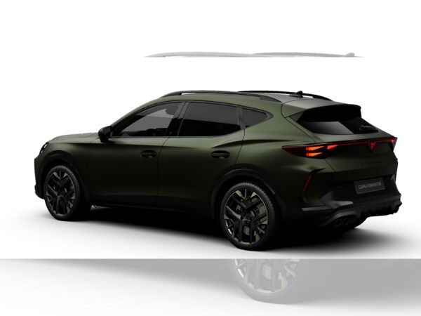 Cupra Formentor VZ 2.0 TSI 4Drive Tribe Edition / SOFORT VERFÜGBAR ! bild 2