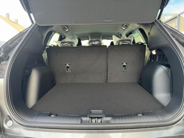 Ford Kuga Hybrid FHEV Titanium 360Grad Kamera, iACC bild 5