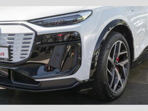 Audi Q6 e-tron Q6 Sportback e-tron performance S line TechPro/Pano/AHK/Ext.-Pa bild 5