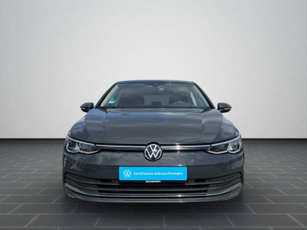 Volkswagen Golf VIII 1.0 TSI *Life* SHZ PDC APP-Connect Ambientebel. bild 6