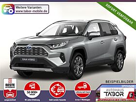 Toyota RAV 4 Hybrid Teamplayer el.HK SHZ DigC SmartKey
