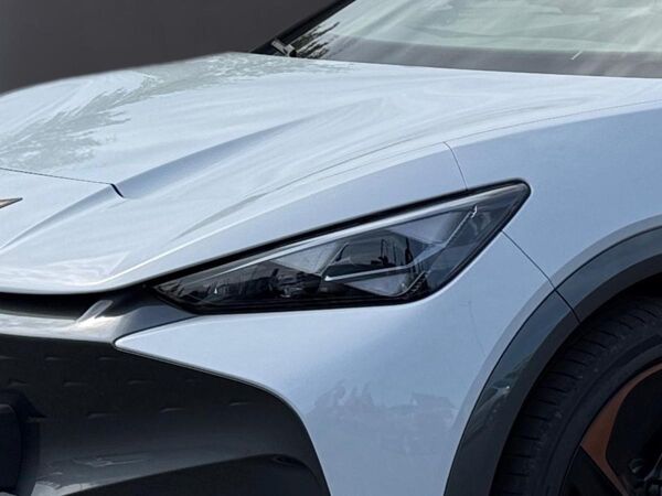 Cupra Tavascan VZ 4Drive 77kWh *AdrenalinePack*BelowZeroPack* bild 7