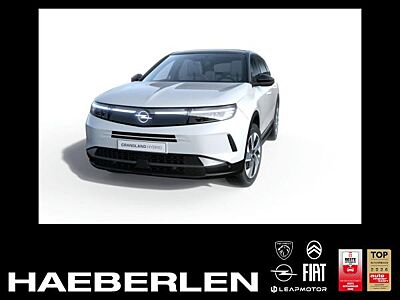 Opel Grandland GS MHEV **Gewerbehammer**