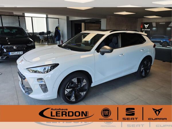 Cupra Terramar 1.5eTS IDSG HeadUp|Sennh|Pano bild