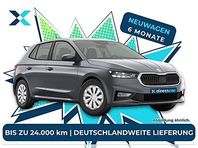 Skoda Fabia Selection ❗️ Deutschlandweite Lieferung ❗️ 6-Monats-Fullservice❗️bis zu 4.000 km/Monat ✅