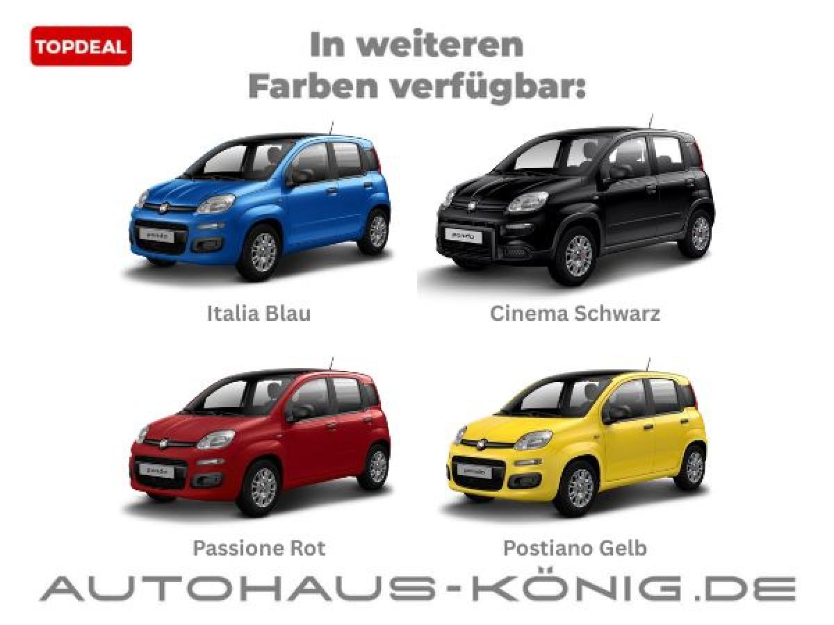 Fiat Panda Citypaket | ***Mit Einparkhilfe❗️*** | 2 Jahre Garantie bild 4