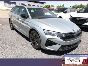 Skoda Octavia Combi RS Pano AHK 360° DCC Matrix Nav bild 2