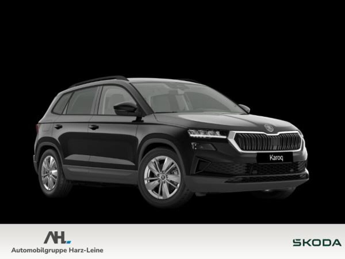 Skoda Karoq Tour 2.0 TDI DSG *ab sofort* bild