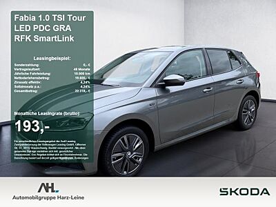 Skoda Fabia 1.0 TSI Tour LED PDC GRA RFK SmartLink LED