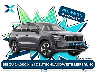 Skoda Karoq Selection ❗️ Deutschlandweite Lieferung ❗️ 6-Monats-Fullservice❗️Vielfahrer geeignet✅