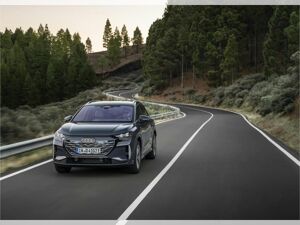 Audi Q4 e-tron 40 e-tron 150kW  s-tronic Sportsitze Kieselgrau bild 4